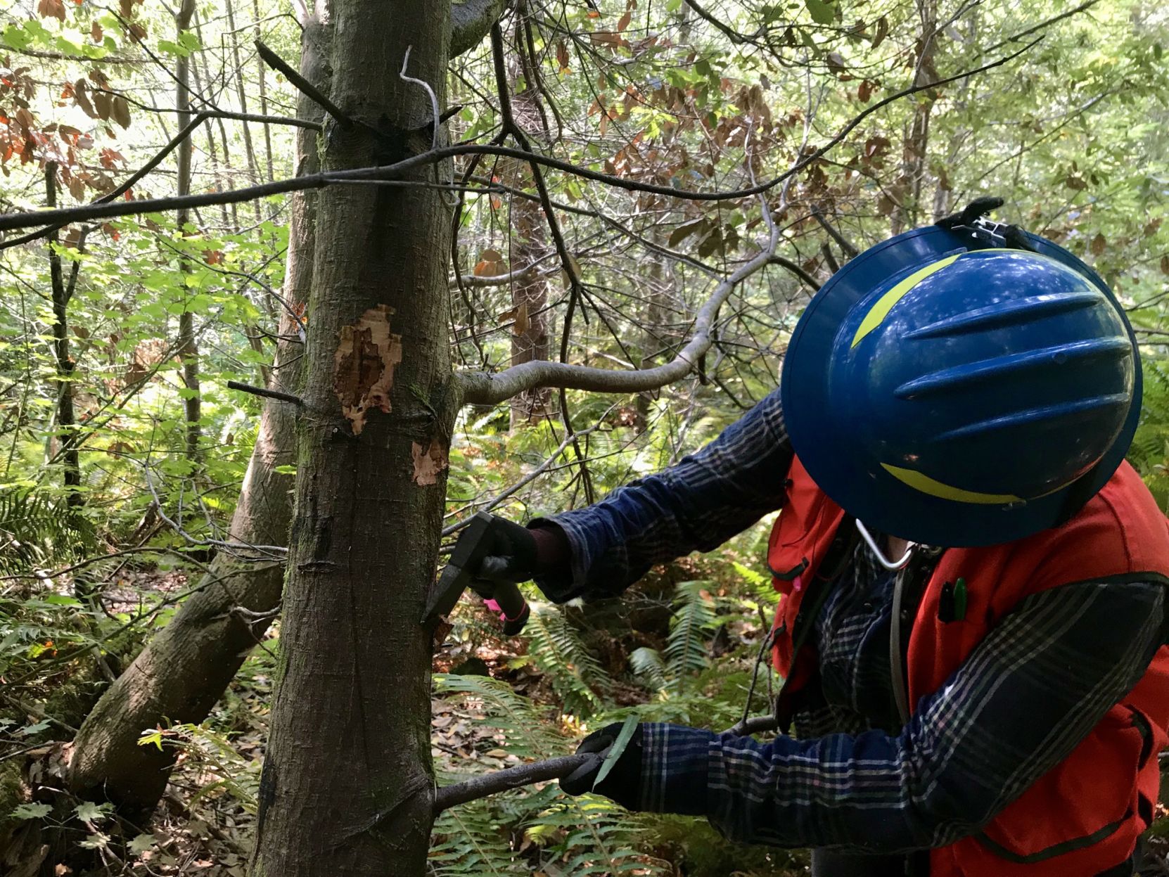 Taking Samples